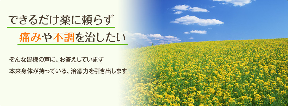 できるだけ薬に頼らず痛みや不調を治したい