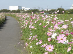 P9290148.JPGのサムネール画像のサムネール画像のサムネール画像