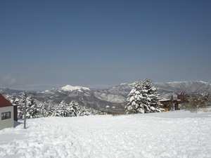 P3110191.JPGのサムネール画像