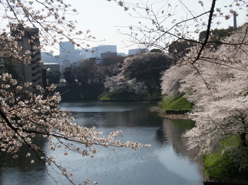 P4090250.JPGのサムネール画像