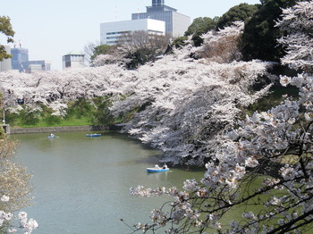 P4090302.JPGのサムネール画像