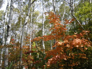 PA140337.JPG