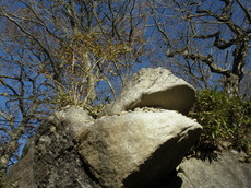 PB180170.JPG
