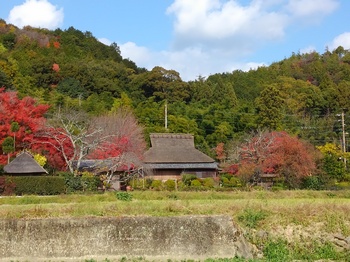 KIMG0156.JPGのサムネール画像