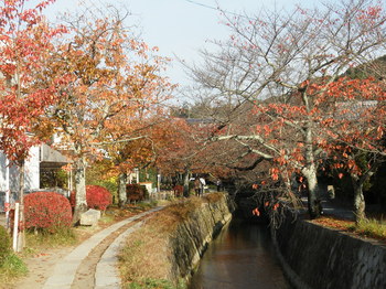 2401哲学の道08.JPG