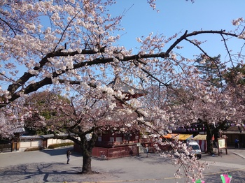 KIMG0433.JPG
