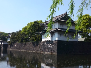 KIMG0533.JPG