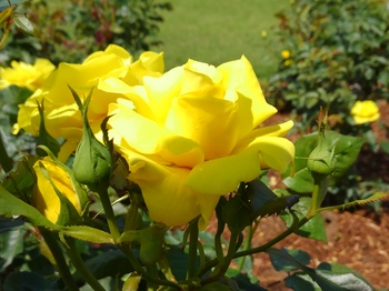 KIMG0901.JPG
