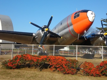 KIMG1555.JPG