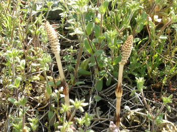 P4060047.JPG