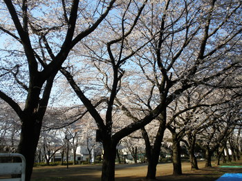 P4070193.JPG