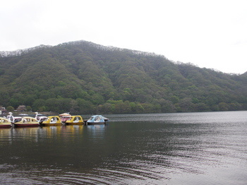 P5190242.JPG