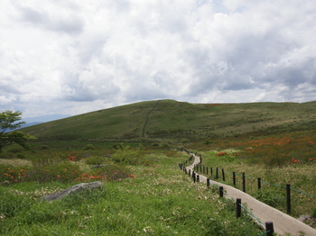 P6230323.JPG