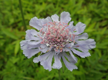 P8150051.JPG