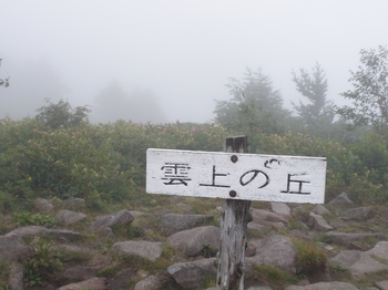 P8150072.JPG
