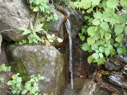P9090355.JPG
