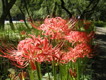 P9140046.JPG
