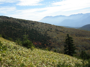 PA140354.JPG