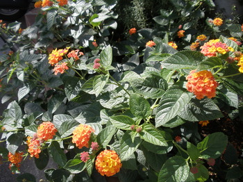 PA180314.JPG