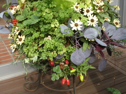 PB130180.JPG