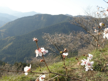 PB170386.JPG