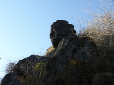 PB180176.JPG