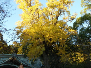 PB180185.JPG